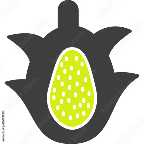 Dragon Fruit Icon