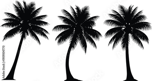 Black palm tree silhouettes collection, tropical coconut trees isolated on white background, summer beach vector illustration set