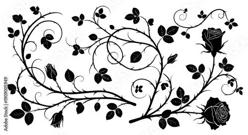 Elegant Rose Vine Silhouette Design Element