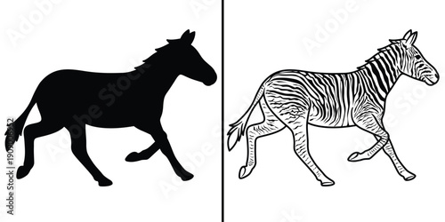 Zebra vs Zebra Silhouette Comparison Vector Illustration with Detailed Lines.