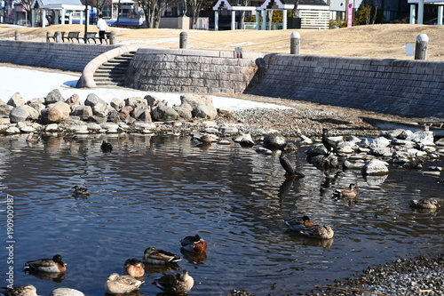 凍結した諏訪湖