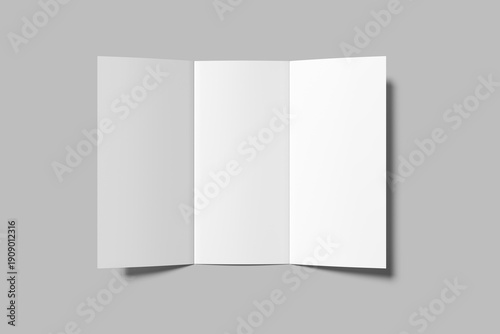 Trifold Brochure  Blank Mockup 