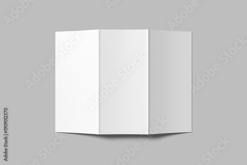 Trifold Brochure  Blank Mockup 
