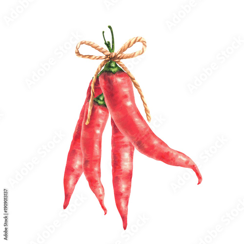 Bilde på lerret Watercolor red hot chili peppers pods bunch tied together with rope