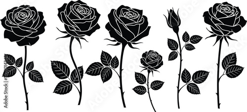 Black rose silhouette collection with stems leaves and buds botanical floral set isolated on white background elegant decorative vector illustration