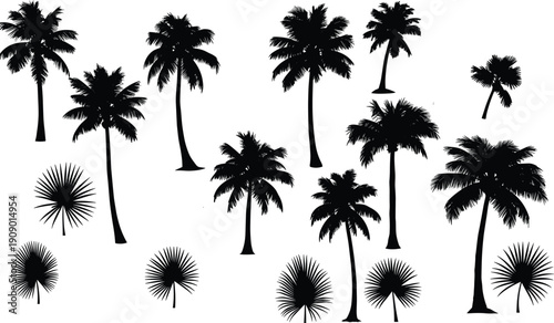 Palm tree silhouette collection, tropical coconut trees and fan palms vector illustration isolated on white background