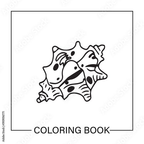 Simple outline for shell. Underwater ocean shells outline minimalist retro illustrations set. Seashells vector doodles