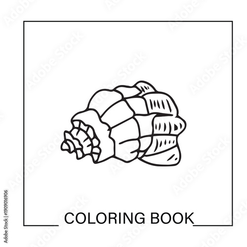 Black line shell ocean element design