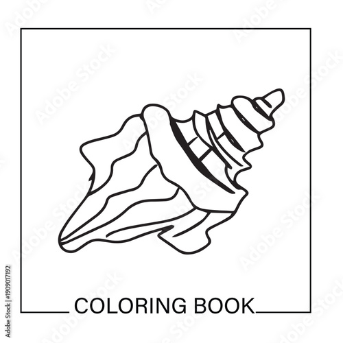 Black color handrawn seashell. seashell outline icon with boho style