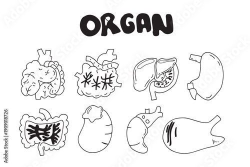 Set of Medical Organs Line Icon Set Outline Symbols for Human Body, Health, and Anatomy Design