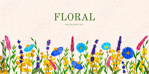 Colorful Hand Drawn Floral Background or Border with Colored Pencils Watercolor Pastel Chalk Texture. Bright Banner with Spring or Summer Flowers Lavender Mimosa Chamomile Pink and Blue Wildflowers.