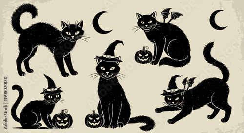 Halloween black cats silhouettes with witch hats and pumpkins