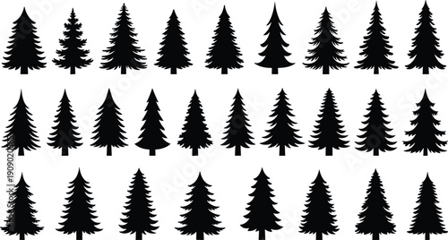 Collection of black pine tree silhouettes featuring various evergreen spruce and fir shapes isolated on white background for nature forest and winter landscape vector.