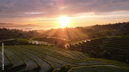 Majestic Sunrise over Lush Green Rice Terraces Landscape