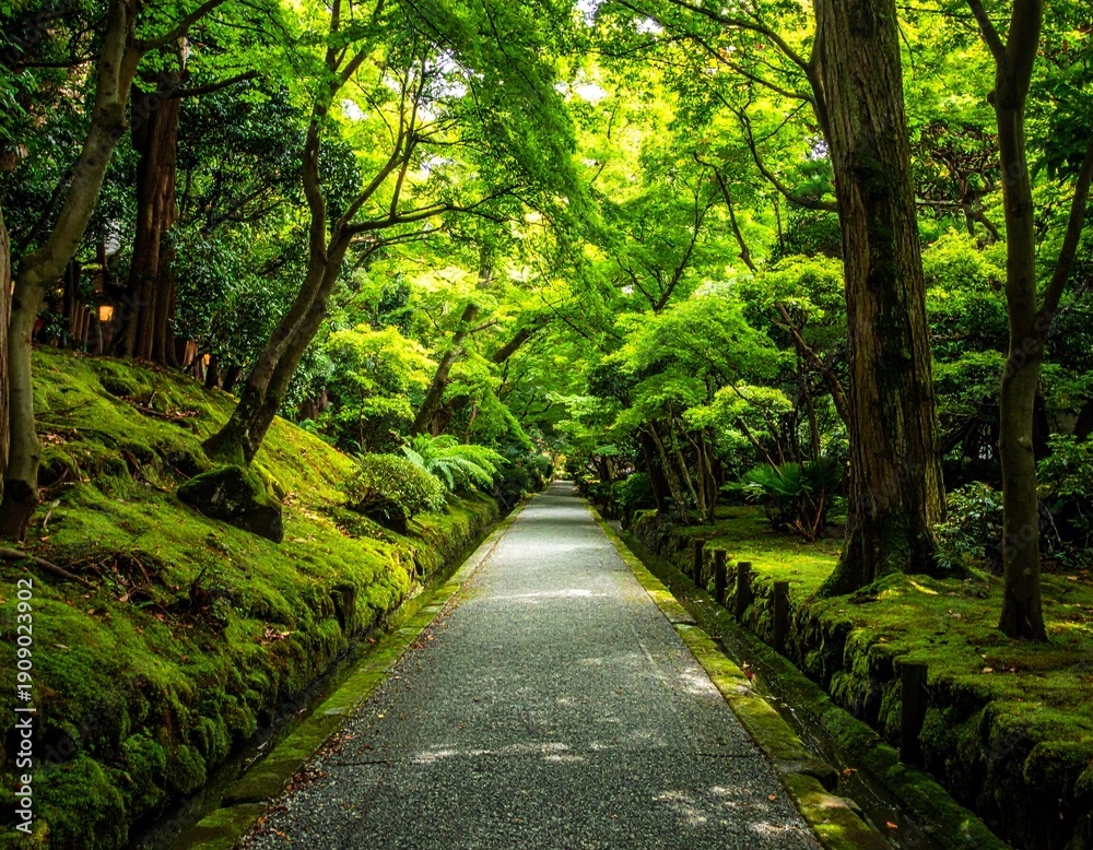 Obraz premium 日本の庭園