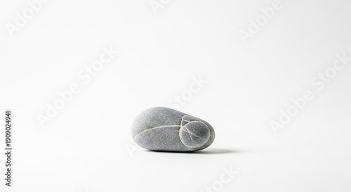 Gray smooth oval rock with a smaller rounder attached rock resting on a white surface