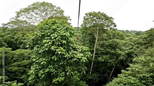 Ziplining Through a Lush Tropical Rainforest Canopy Adventure