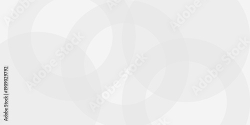 Minimal white abstract background with soft gradient circles and smooth curves, clean and elegant modern design, ideal for business or technology themes. etc