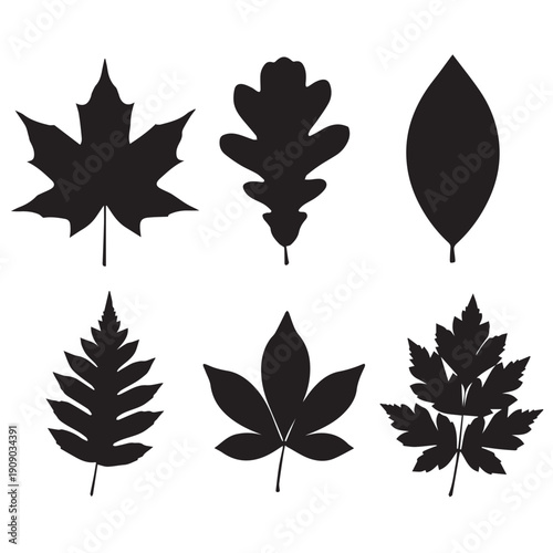 Diverse Autumn Tree Leaf Silhouettes: Maple, Oak, and Assorted Foliage Designs