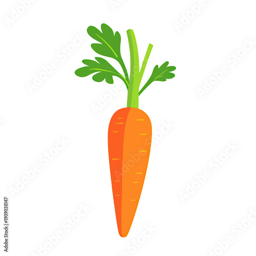 Bright fresh orange carrot with green leaves isolated on white background flat minimalist vector illustration for healthy food and cooking design concept