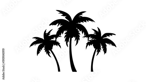 Tropical Palm Tree Silhouette Collection