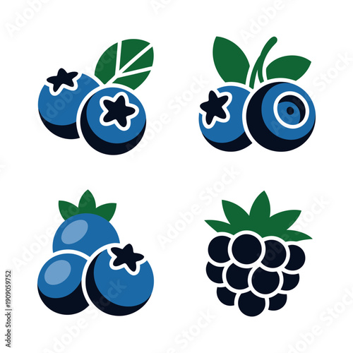 A colorful illustration of blueberries and blackberries on a white background