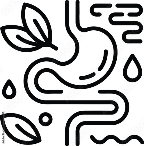 A simple black line drawing of the human digestive system with leaves
