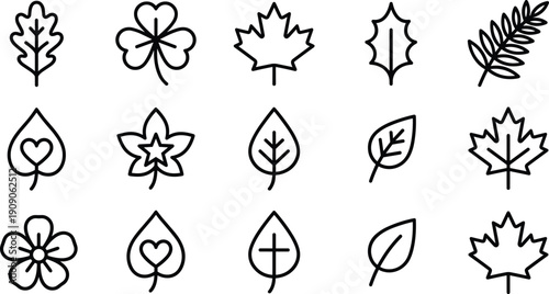 Minimal leaf icon set, botanical outline collection with maple oak clover floral nature line symbols illustration