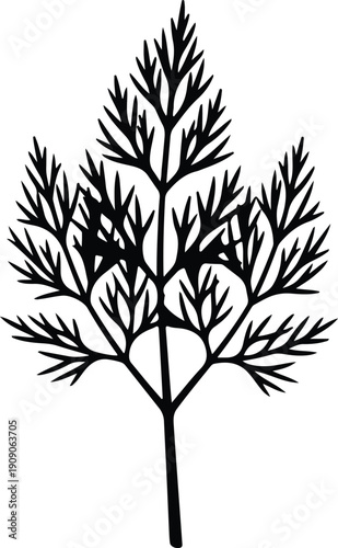 silhouette aromatic dill herb sprig seasoning for cooking food icon vector design