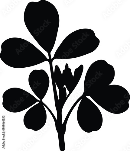 silhouette clover trifolium leaf plant branch isolated on white vector design