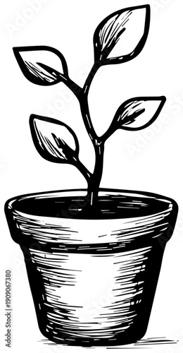 Hand drawn small plant in pot notion style icon illustration black and white