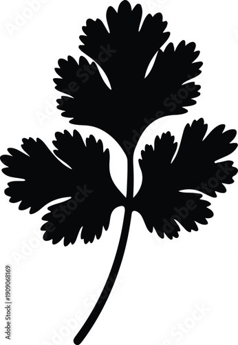 silhouette organic cilantro parsley leaf for kitchen menu and cooking vector design