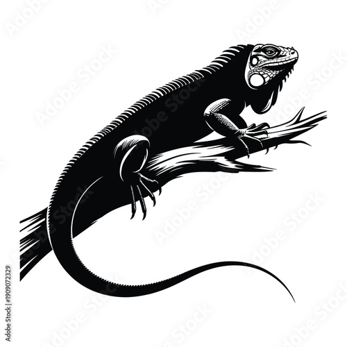 Iguana perched on branch Vector, Silhouette, Illustration