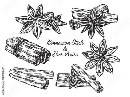 Set of hand drawn aromatic Star Anise and Cinnamon Stick outline drawing collection