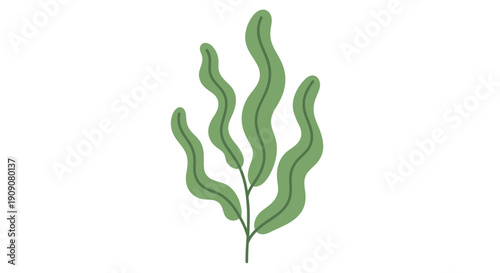 Abstract Green Seaweed Plant Illustration, Minimalist Style