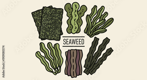Assortment of Seaweed Varieties and Edible Seaweed Snacks