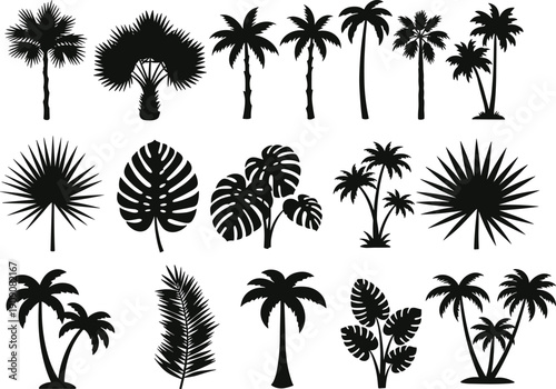 Palm tree silhouettes, tropical leaves, exotic plants, beach design, summer decoration, black shapes, botanical art, island theme, vector illustration, nature elements