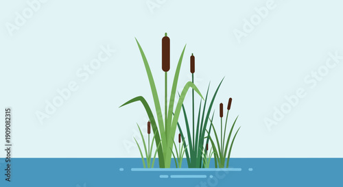 Cattails Growing in Water: Flat Design Illustration