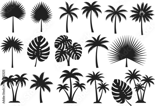 Palm tree silhouettes, tropical leaves, exotic plants, beach design, summer decoration, black shapes, botanical art, island theme, vector illustration, nature elements