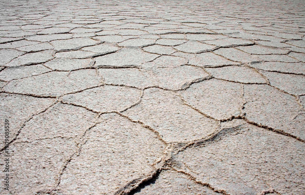 Obraz premium Cracked Dry Earth Texture Background