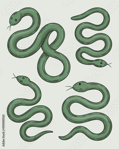 Various green snake illustrations in different coiled poses simple cartoon style reptile animal collection for educational biology or wildlife design elements mythical creature concept art naturalisti