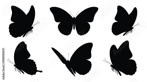 Silhouettes of butterflies with intricate wings and antennae in various poses. isolated on white background, Vector