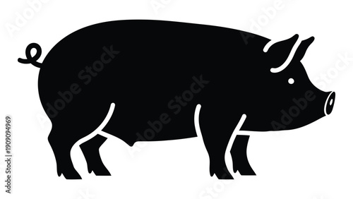 A black and white illustration of a pig standing on all four legs. isolated on white background, Vector