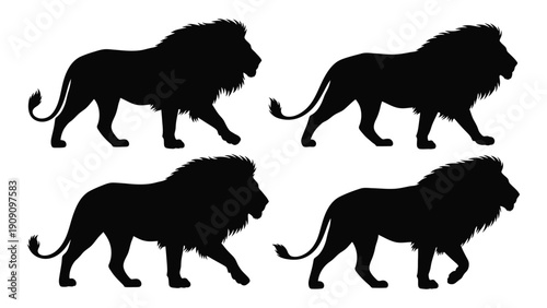 Four majestic lions silhouetted against a white background in various poses. isolated on white background, Vector