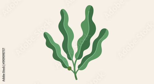 Green Seaweed Branch with Wavy Leaves on Pale Background