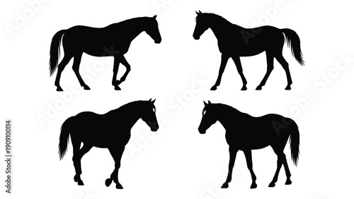 Four black silhouettes of horses in dynamic poses against a white background isolated on white background, Vector