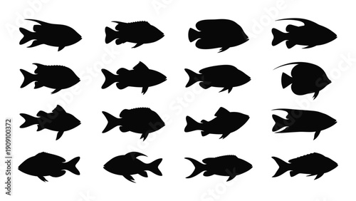 A collection of diverse fish silhouettes showcasing various shapes and sizes isolated on white background, Vector