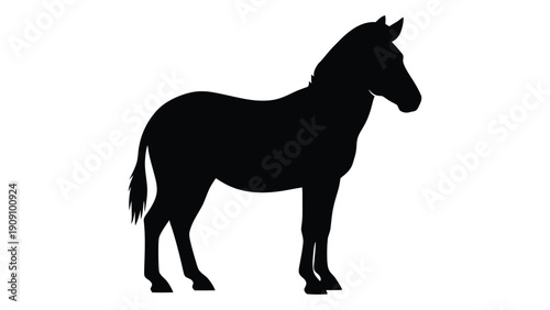 Silhouette of a horse standing on all fours against a white background isolated on white background, Vector