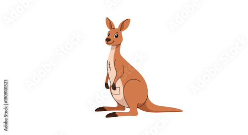 Cute brown kangaroo standing tall and looking to the side with a pouch on its belly in a friendly and calm posture.