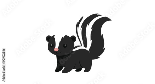 Small black and white skunk standing calmly and looking forward with its large bushy tail raised on a plain white background for easy use.